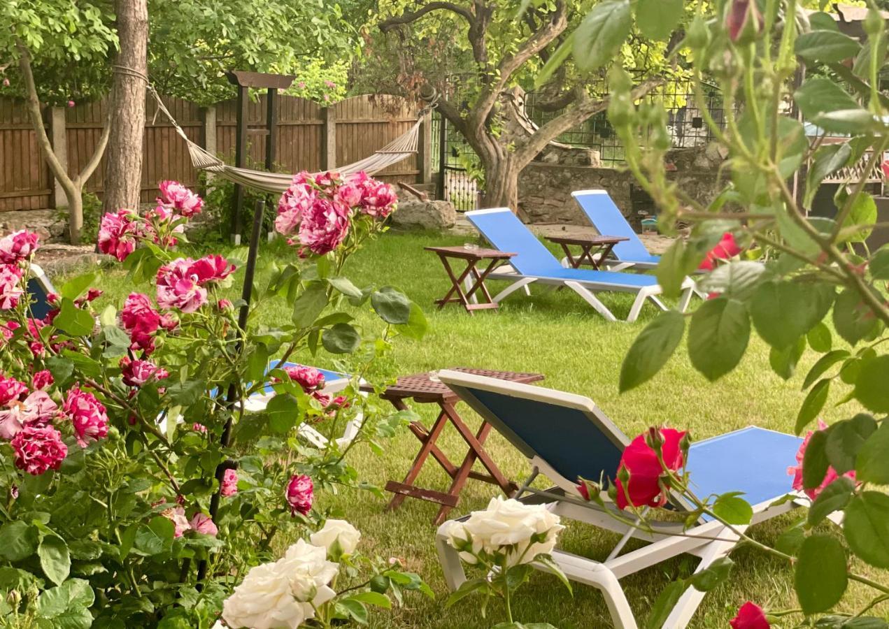 Bed and Breakfast Vamabel House Вама-Веке Экстерьер фото