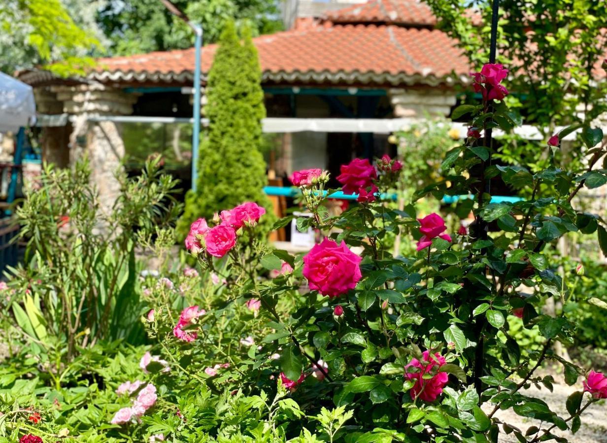 Bed and Breakfast Vamabel House Вама-Веке Экстерьер фото
